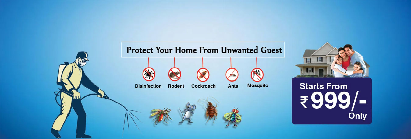 A Profressional Termite Control in Gaya - G20 Pest Control Service in Bihar